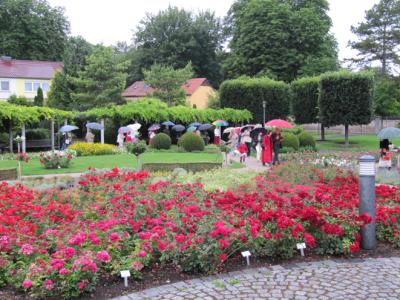 Ein Rosenabend in Gesellschaft