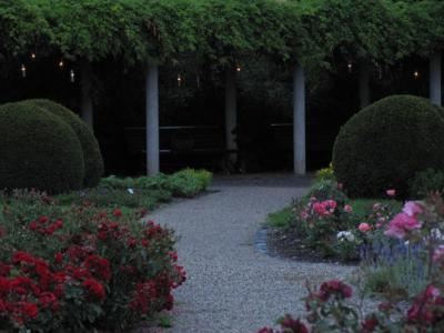 Ein Rosenabend in Gesellschaft