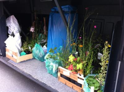 ins Hannoversche Gartenreich