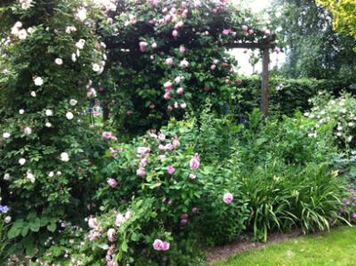 ins Hannoversche Gartenreich