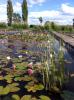 ins Hannoversche Gartenreich