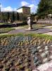 ins Hannoversche Gartenreich