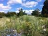 ins Hannoversche Gartenreich