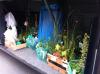 ins Hannoversche Gartenreich