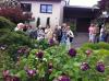 ins Hannoversche Gartenreich