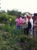 ins Hannoversche Gartenreich
