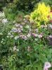 ins Hannoversche Gartenreich