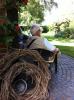 ins Hannoversche Gartenreich