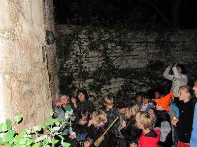 Walpurgisnacht